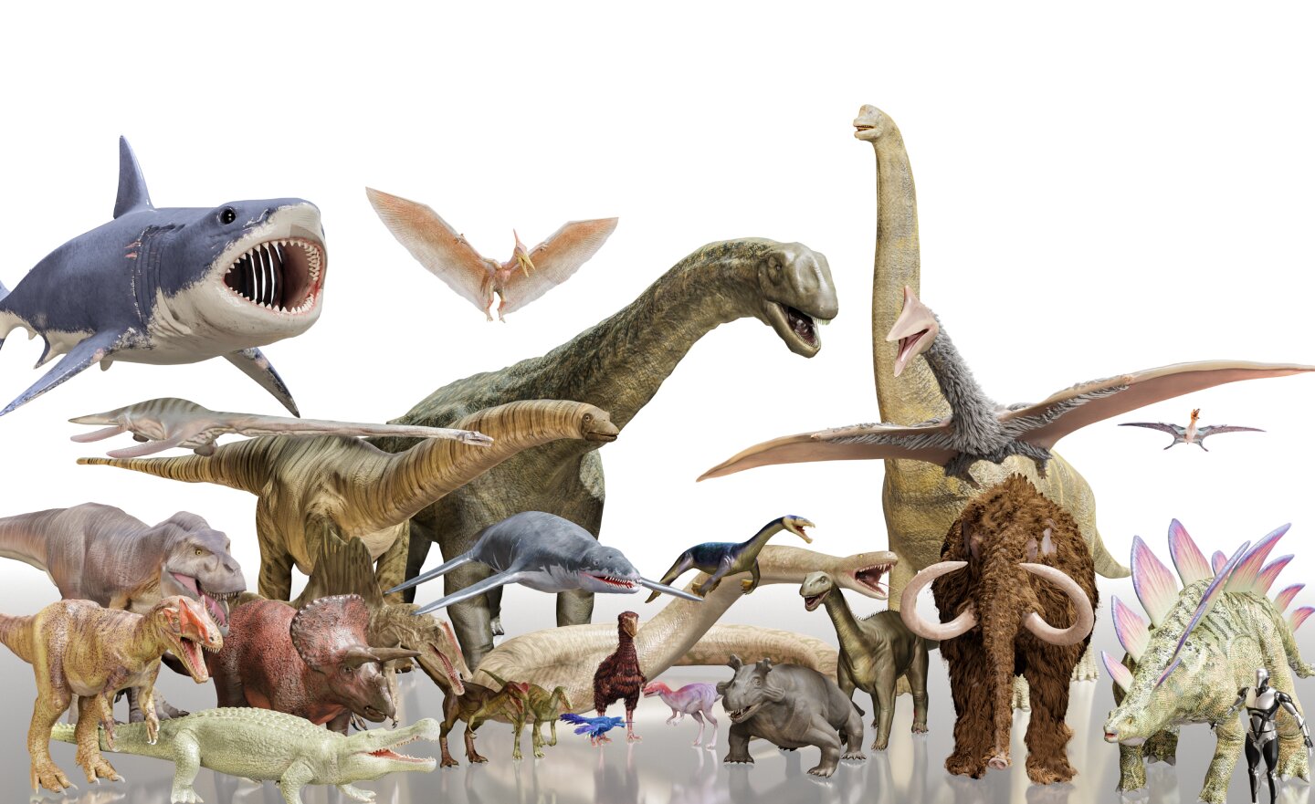 3D Dinopedia Encyclopedia Of Dinosaurs In 3D