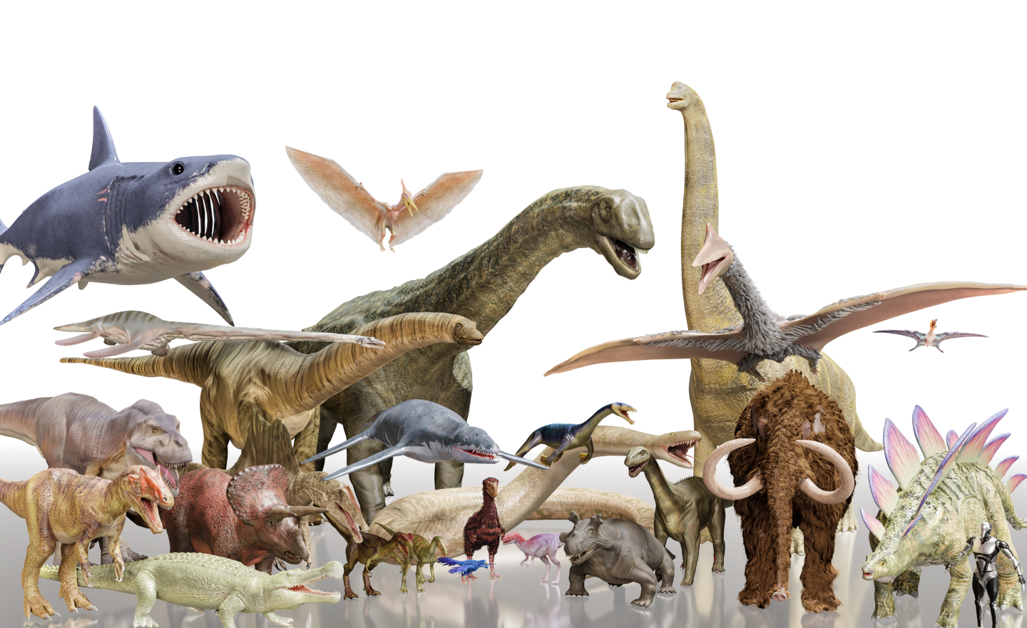 3d-dinopedia-encyclopedia-of-dinosaurs-in-3d