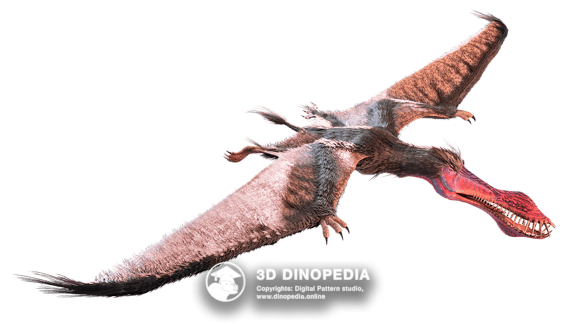 Deinonychus  3D Dinopedia