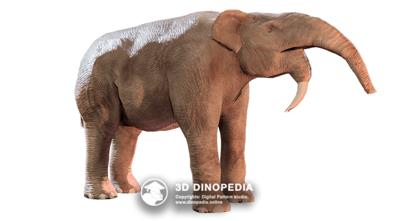 Prehistoric Large Known Elephant Jurassic Dinosaur Deinotherium