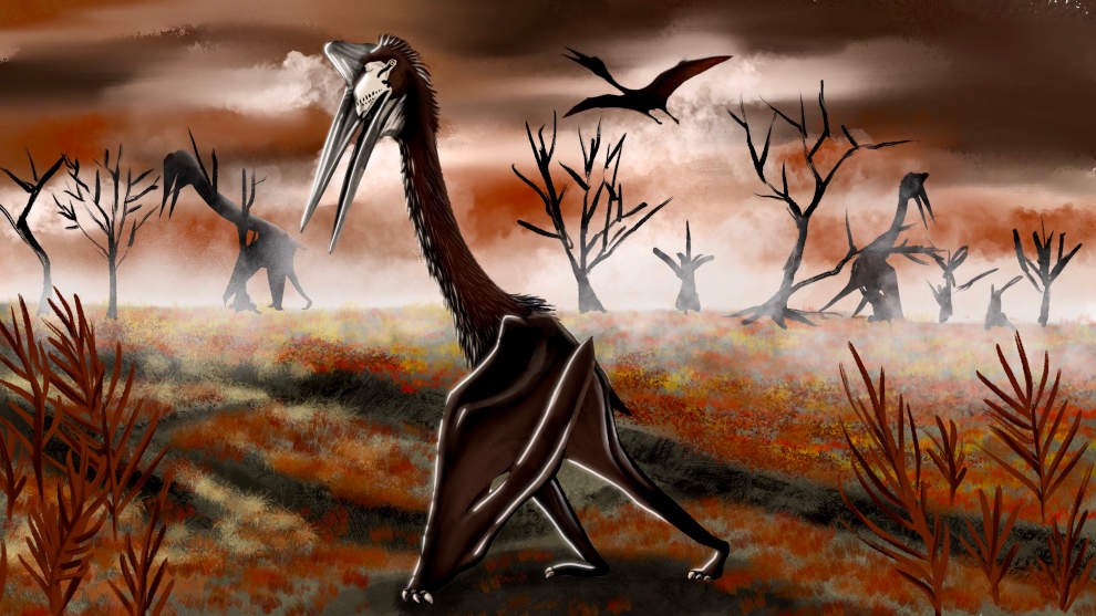 Quetzalcoatlus Dinopedia The Free Dinosaur Encyclopedia