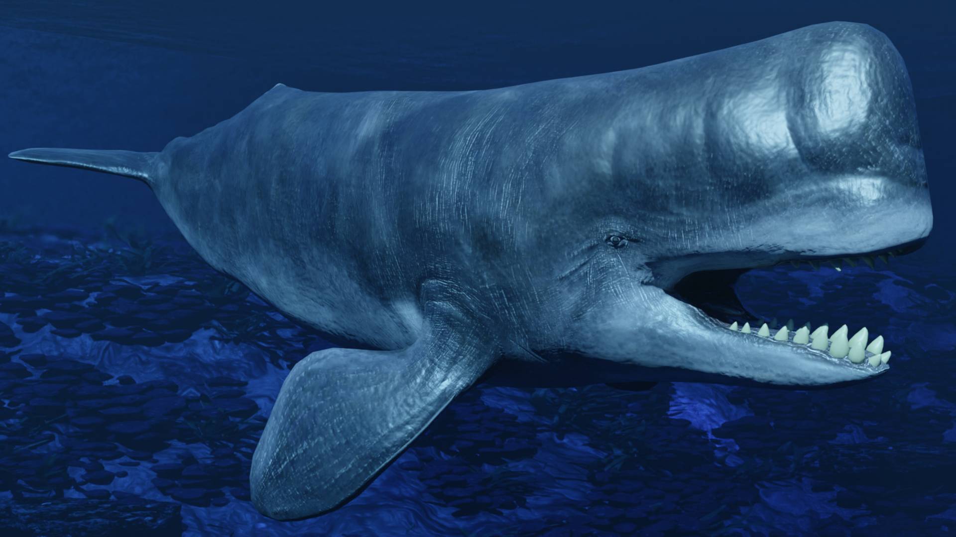 Dinopedia Neogene period