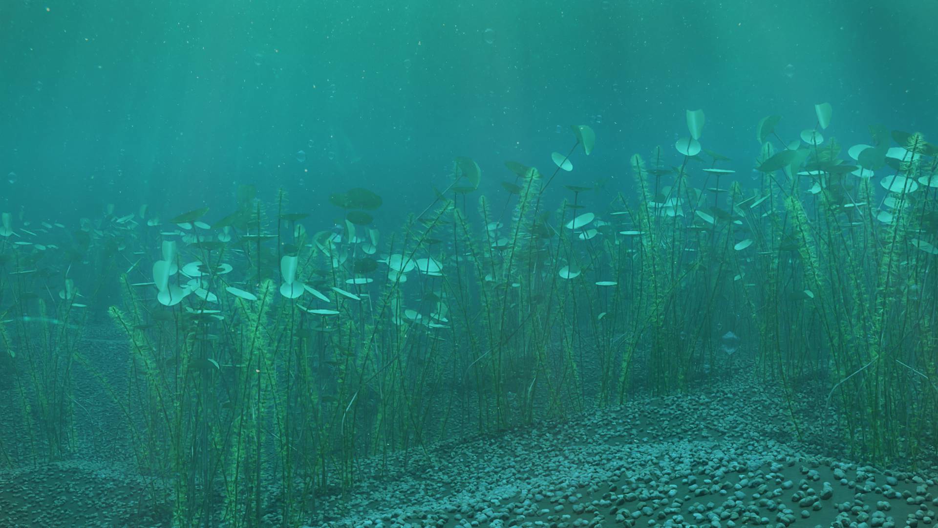 Dinopedia Ordovician period