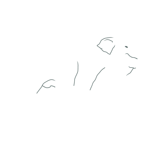 Dinopedia Neogene period