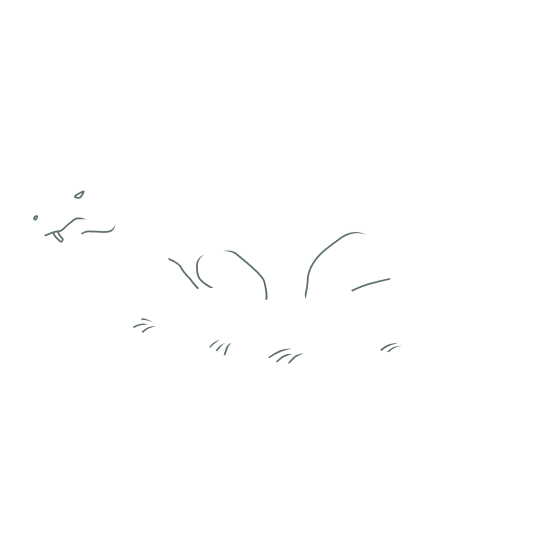 Dinopedia Permian period