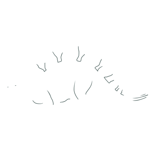 Dinopedia Jurassic period