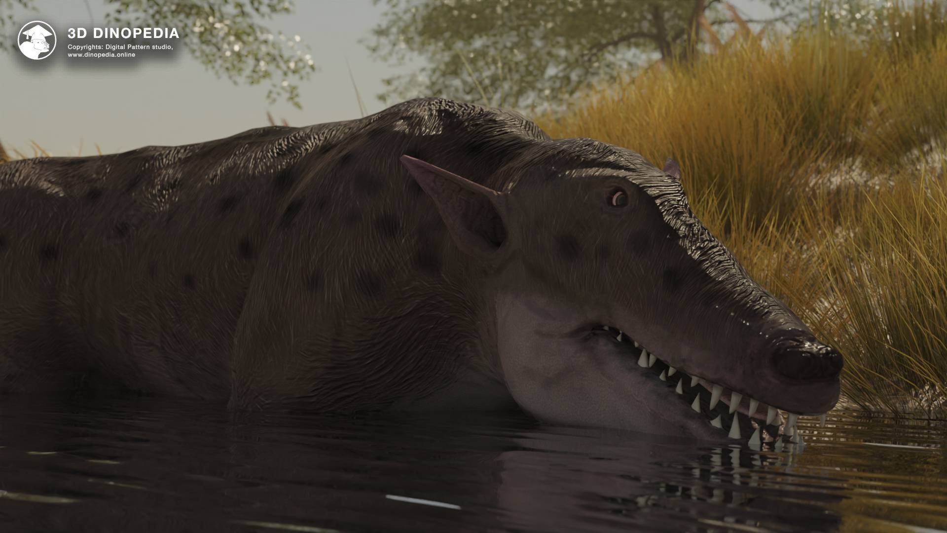 3D Dinopedia Transitional Forms of Evolution