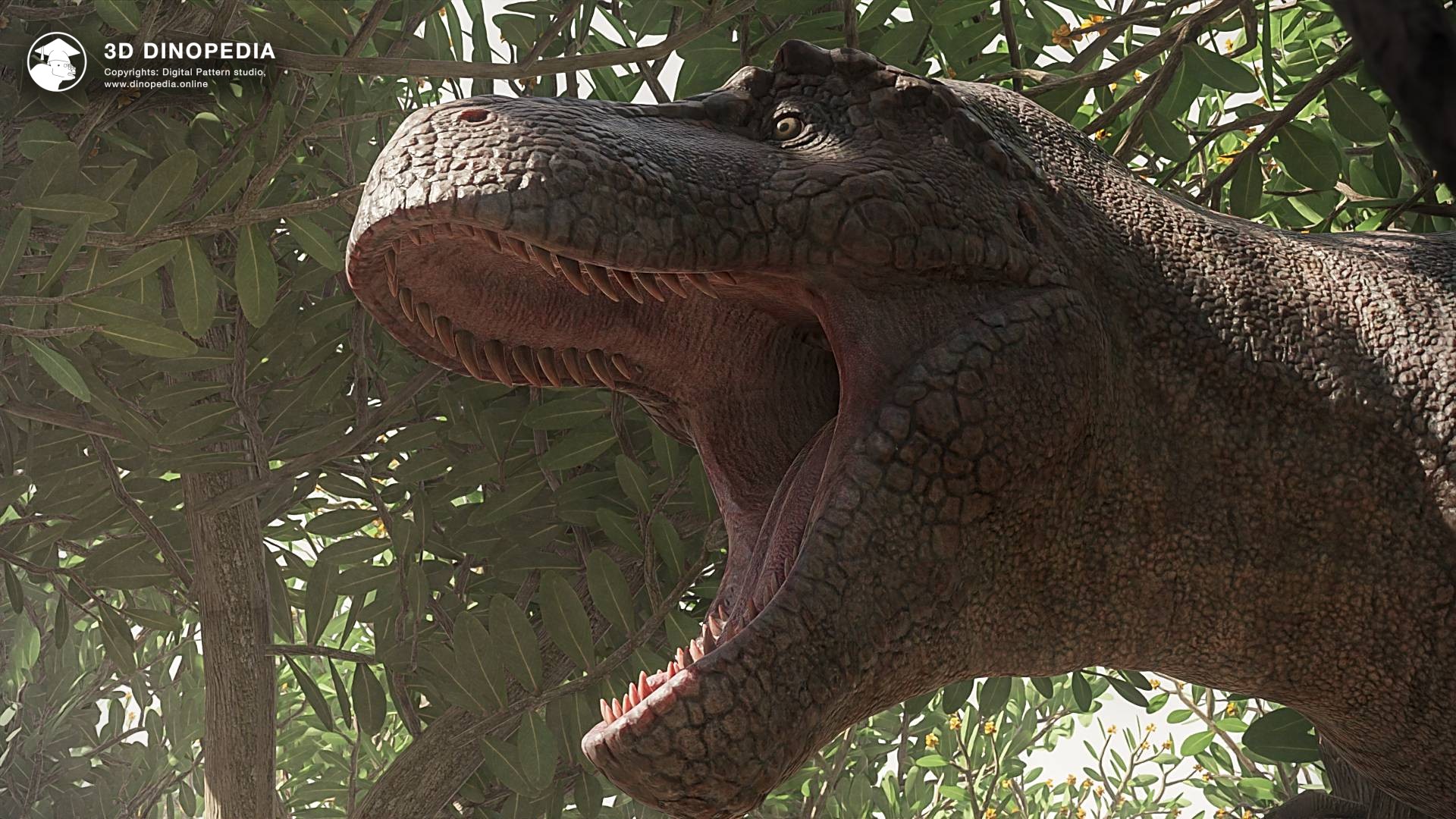 3D Dinopedia Tyrannosaurs 2024: New Discoveries