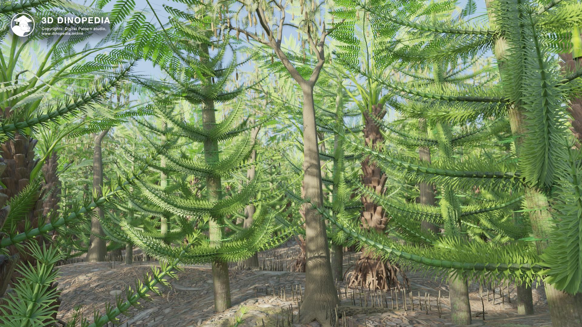 Tropical and subtropical forests 3D Dinopedia