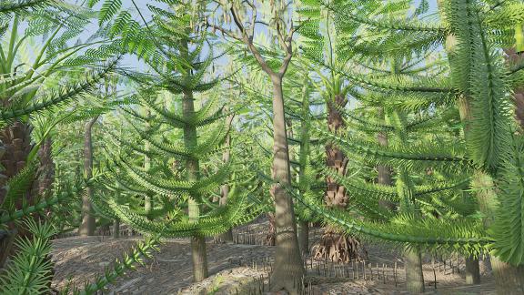 3D Dinopedia Tropical and subtropical forests