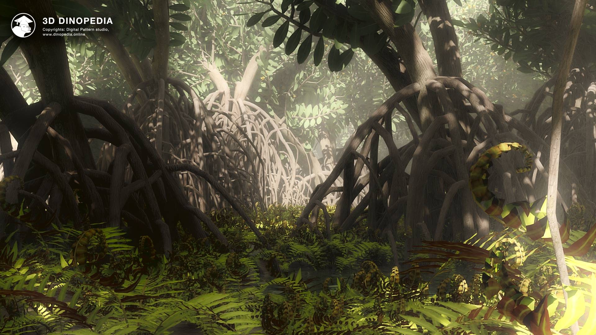Mangrove forests and bayous 3D Dinopedia