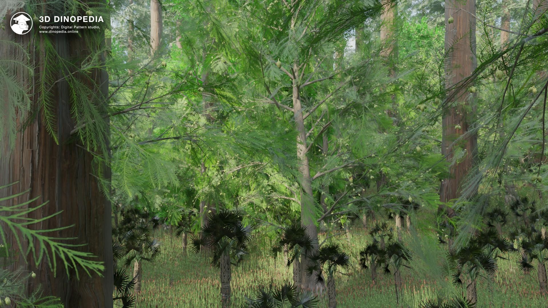 Mixed and broadleaf forests 3D Dinopedia