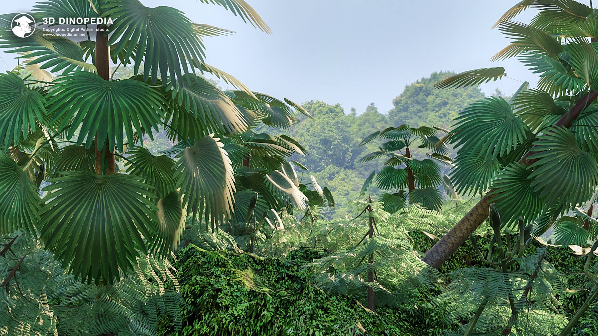 Tropical and subtropical forests 3D Dinopedia