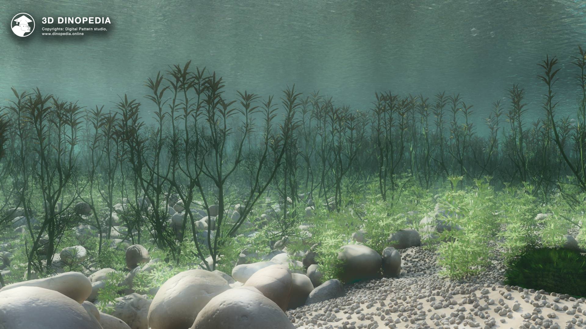 Freshwater environment 3D Dinopedia
