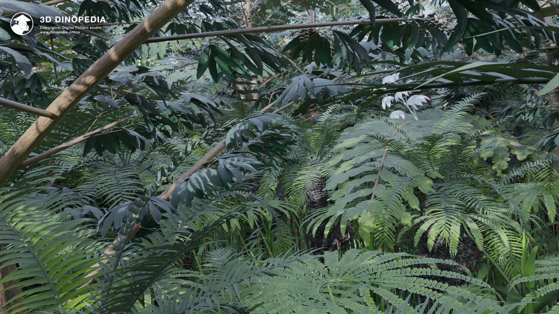 Tropical and subtropical forests 3D Dinopedia