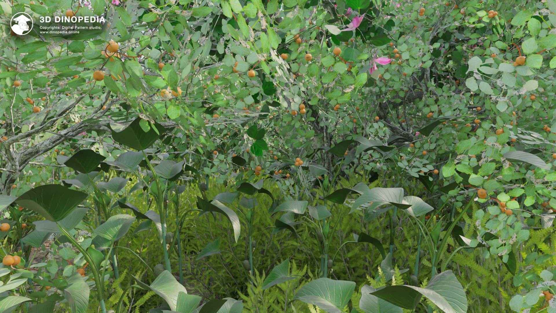 Rainforests 3D Dinopedia