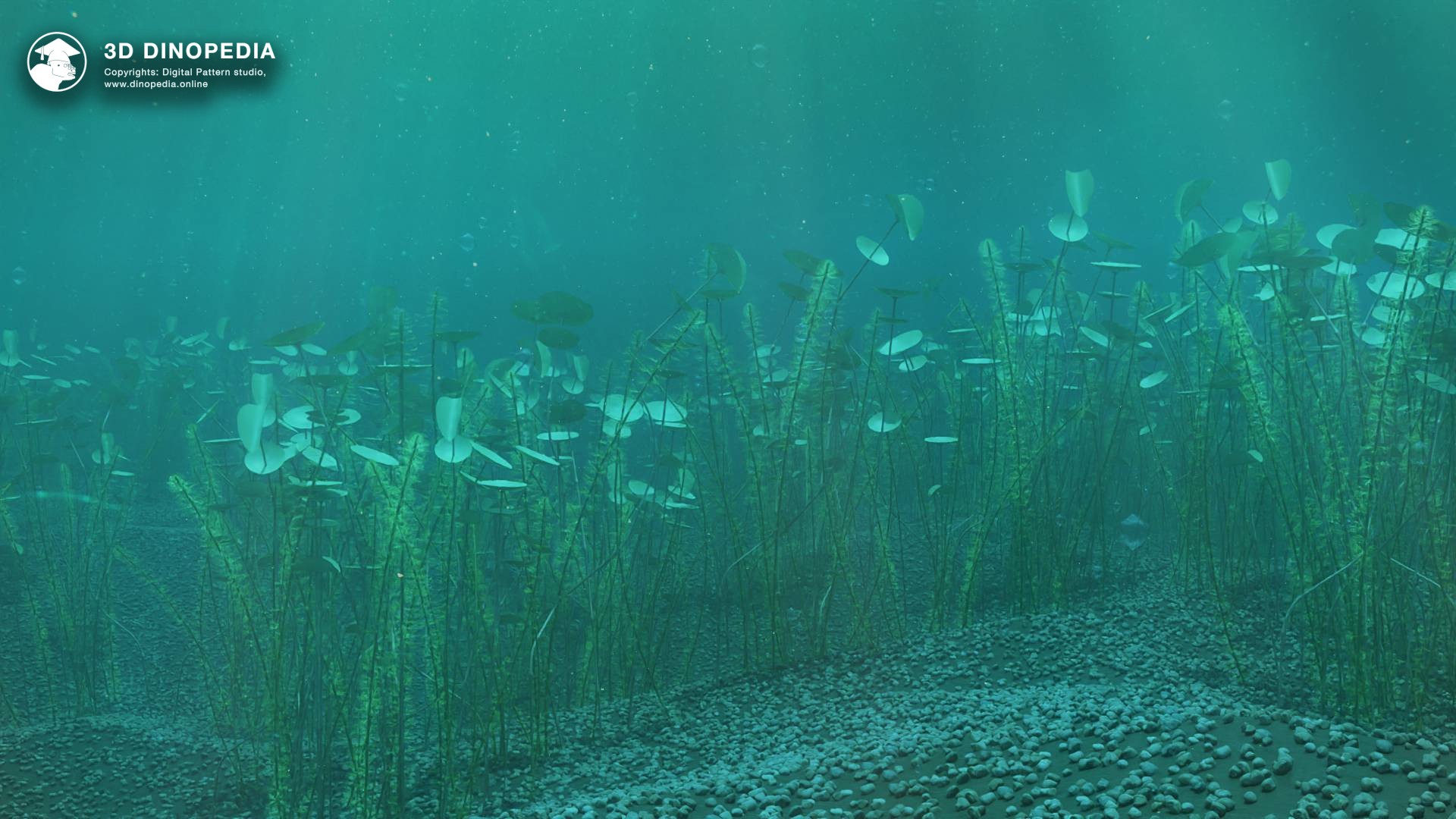 Marine environment 3D Dinopedia