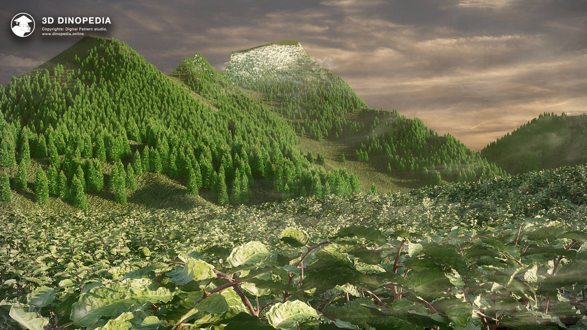 Mountain forests 3D Dinopedia