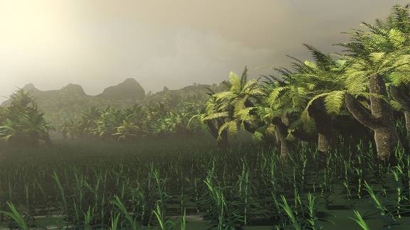 3D Dinopedia Rainforests