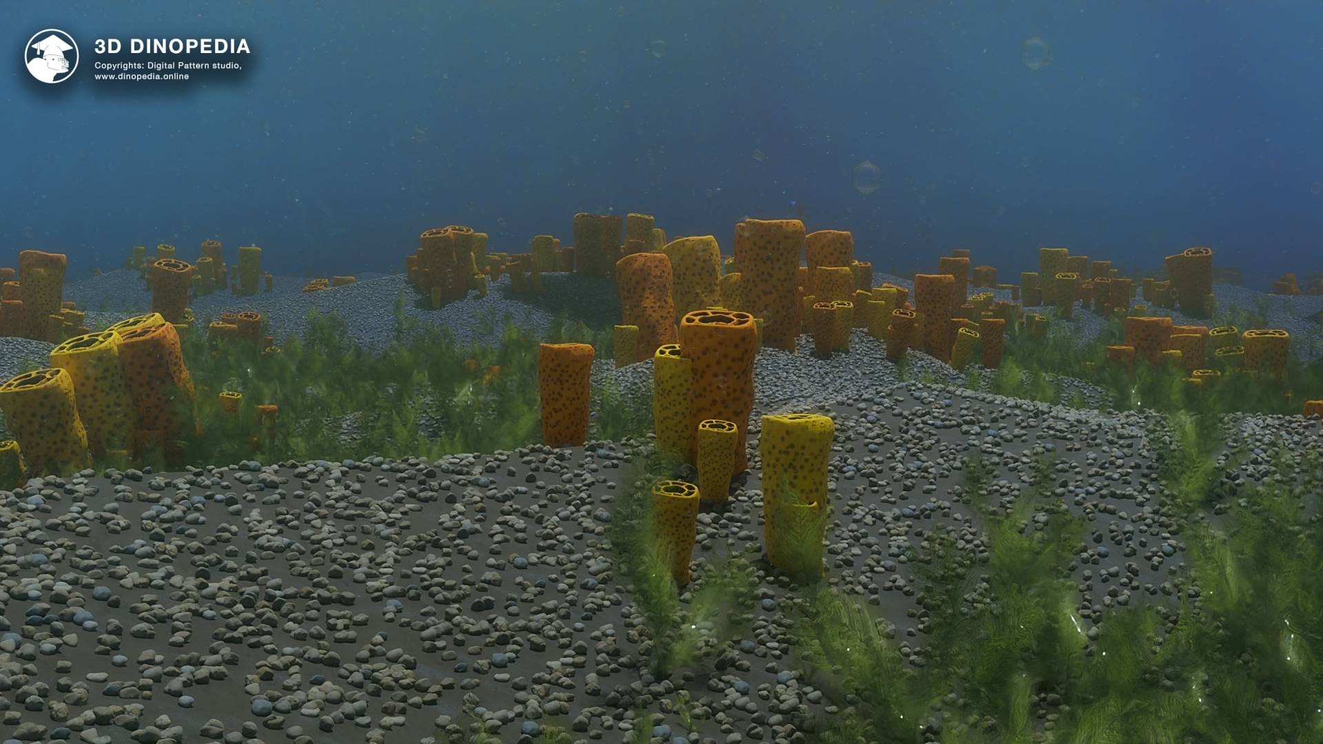 Marine environment 3D Dinopedia
