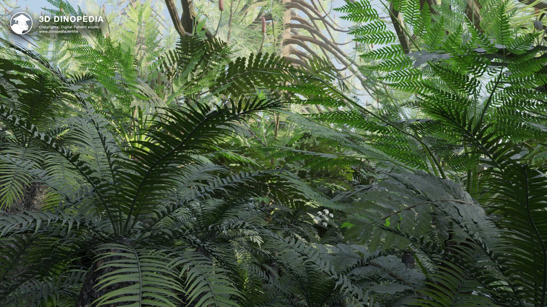 Tropical and subtropical forests 3D Dinopedia