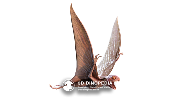 Jurassic period Anurognathus | 3D Dinopedia