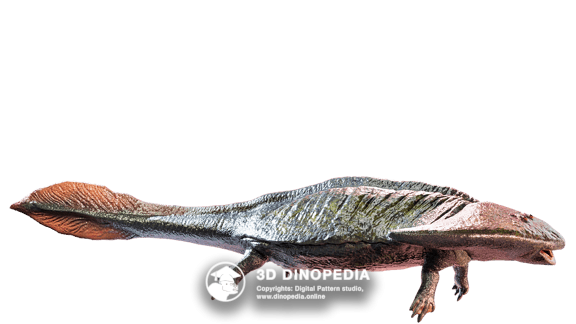 Permian period Diplocaulus | 3D Dinopedia