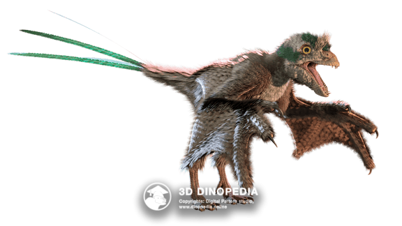 Jurassic period Epidexipteryx | 3D Dinopedia