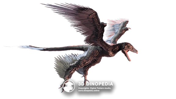 Microraptor | Cretaceous period | 3D Dinopedia