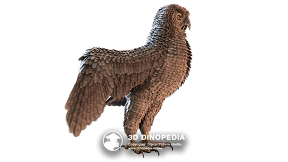 Quaternary period Ornimegalonyx | 3D Dinopedia
