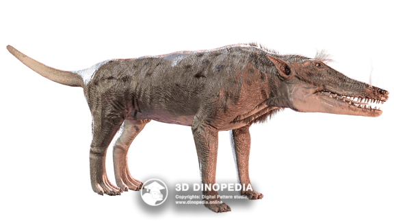 Paleogene period Pakicetus | 3D Dinopedia