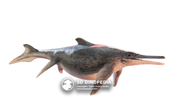 Triassic period Shonisaurus | 3D Dinopedia