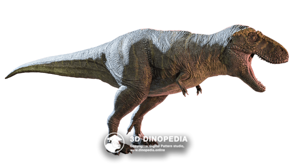 Cretaceous period Tarbosaurus | 3D Dinopedia