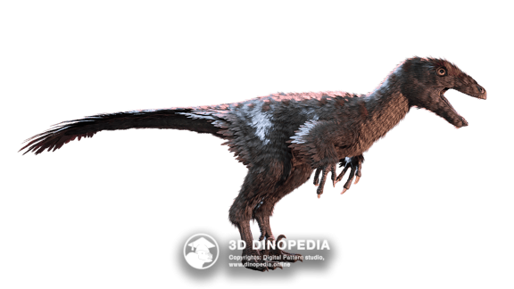 Cretaceous period Troodon | 3D Dinopedia