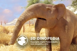 Neogene period Deinotherium 3D Dinopedia