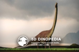 Jurassic period Supersaurus 3D Dinopedia