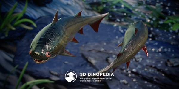 Silurian period Nerepisacanthus 3D Dinopedia
