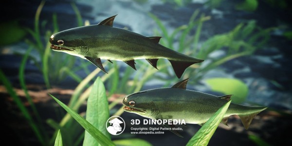 Silurian period Nerepisacanthus 3D Dinopedia
