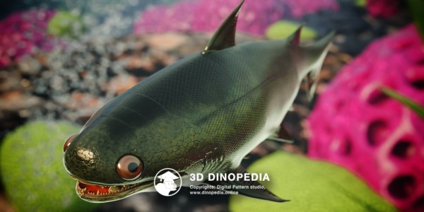 Silurian period Nerepisacanthus 3D Dinopedia