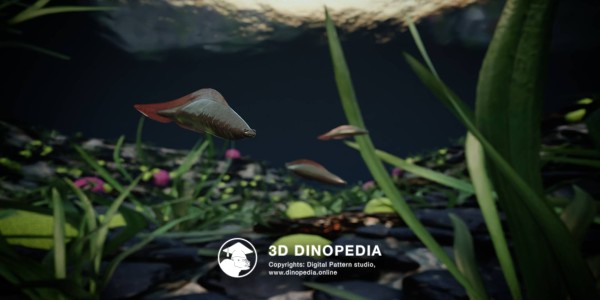 Cambrian period Haikouichthys 3D Dinopedia