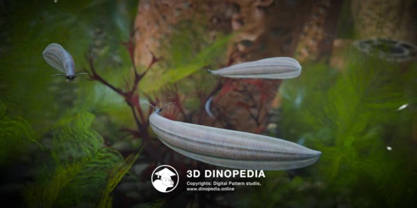 Cambrian period Pikaia 3D Dinopedia