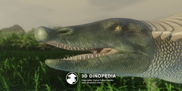 Triassic period Typothorax 3D Dinopedia