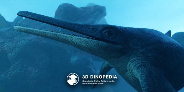 Triassic period Shonisaurus 3D Dinopedia