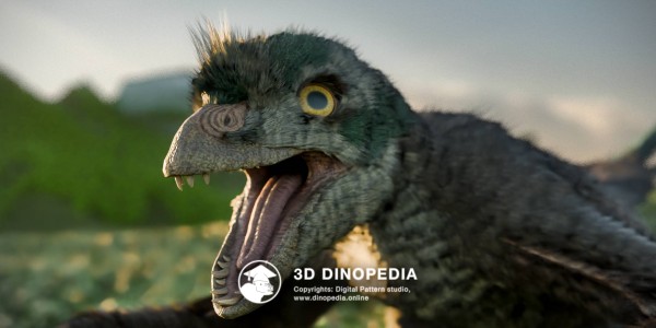 Jurassic period Epidexipteryx 3D Dinopedia