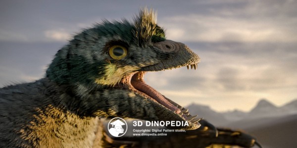 Jurassic period Epidexipteryx 3D Dinopedia