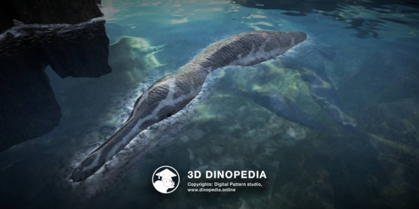 Jurassic period Pliosaurus 3D Dinopedia