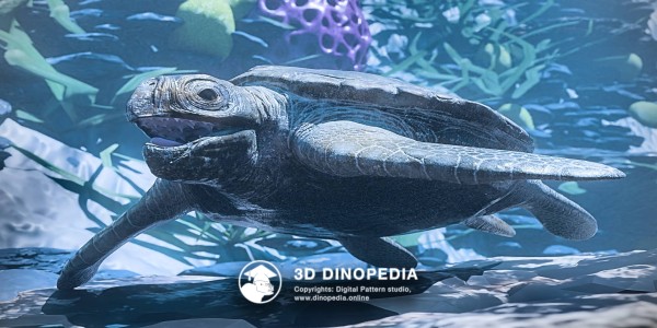 Cretaceous period Archelon 3D Dinopedia