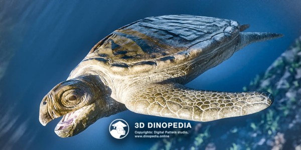 Cretaceous period Archelon 3D Dinopedia