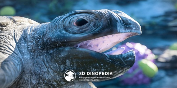 Cretaceous period Archelon 3D Dinopedia