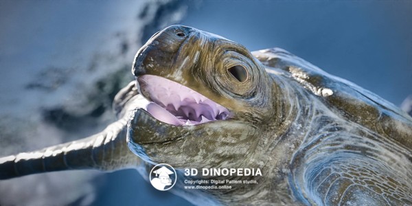 Cretaceous period Archelon 3D Dinopedia